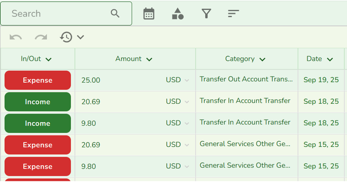 doobneek finance tracker table showing income, expense, amount, category, and date columns